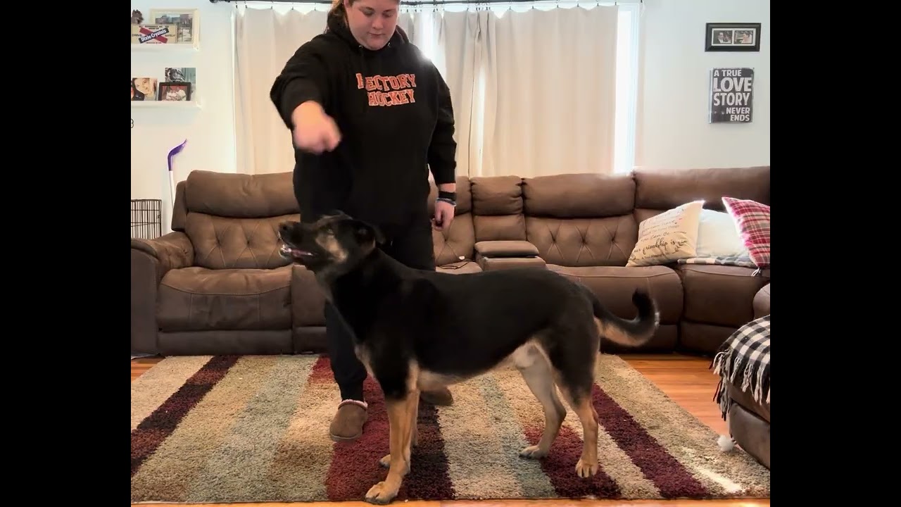 Exercise 4.3: Shaping a New trick (Spin) First Video Angelina Manwaring