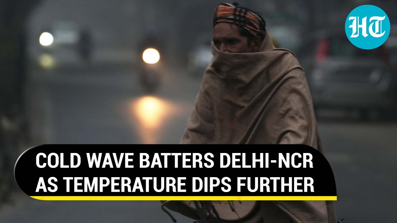 Cold Wave: Fog blankets Delhi-NCR, mercury dips to 5&deg;C; IMD warns of biting chill in North India