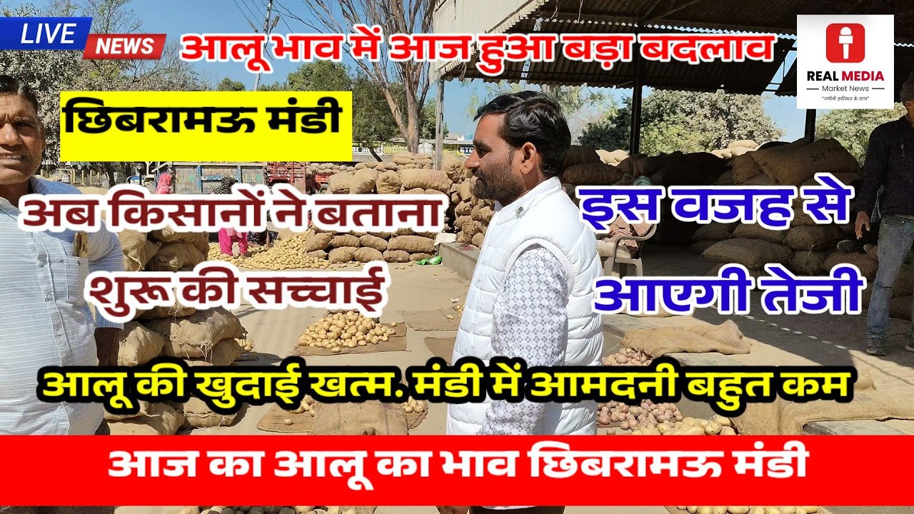 आज आलू मंडी छिबरामऊ में हुआ बड़ा बदलाव | किसानों ने बताई सच्चाई इसलिए दोबारा आएगी तेजी || Aalu Bhav