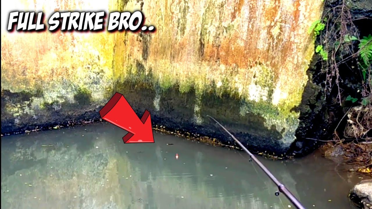 Teknik Mancing Wader Pakai Pelampung Di Kali Kecil - Full Strike Dapat Banyak Ikan