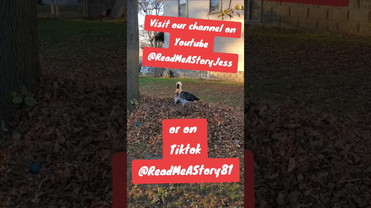 Sassy introduces ReadMeAStory  #readingaloud  #childrensbook  #readmeastory #readaloud  #growingup