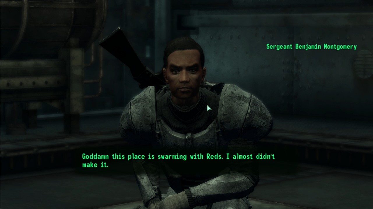 Solid Vault Dweller