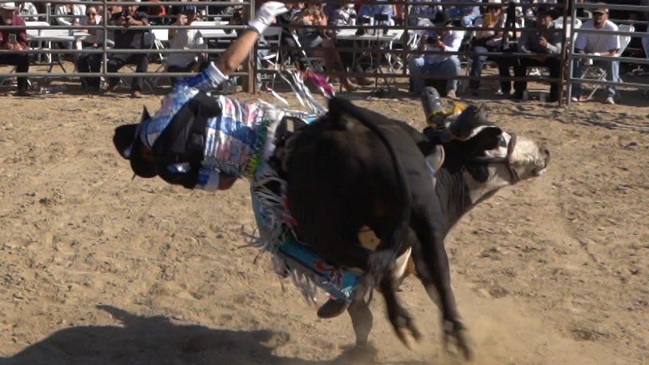 JARIPEO CON LOS TOROS POETAS 🧨🧨🧨🧨🧨