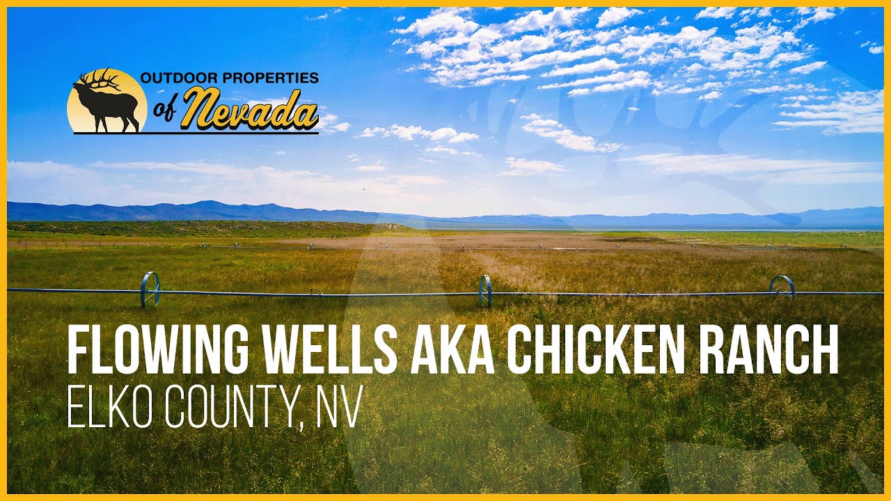 Nevada Property for Sale | Elko County, NV | Flowing Wells aka Chicken Ranch