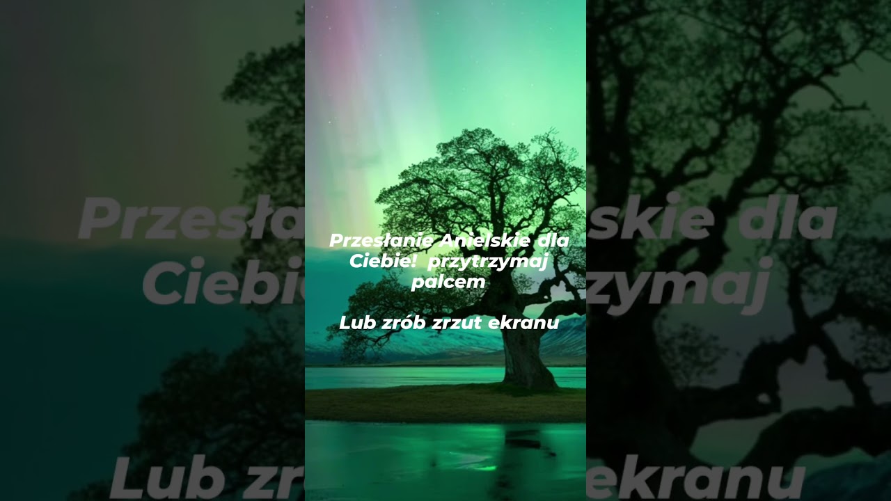#tarot2026 #kartytarota #anioły #wybierzkartę #wrozka #kartywyroczni #nowykanał #karty #angel