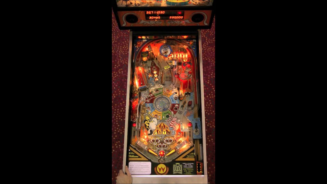 Bad Cats Pinball Gameplay