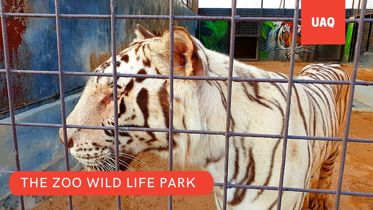 The zoo wild life park | Umm Al Quwain | Zoo's in the UAE | Places to visit in UAQ