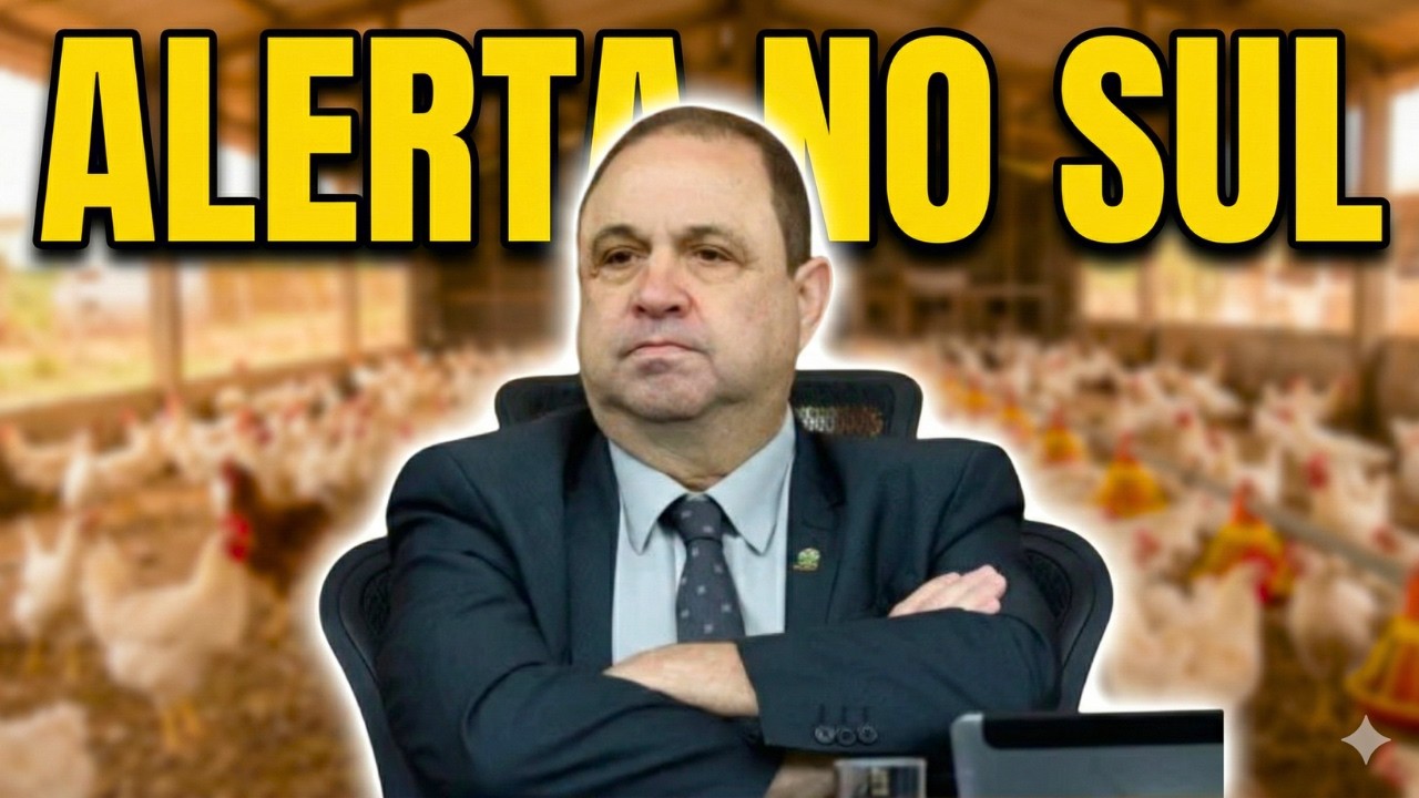AGRO EM ALERTA! 20 Mil Aves Mortas, Janela do Milho Acabou e o Vírus Chega ao Sul! O Que Esperar?