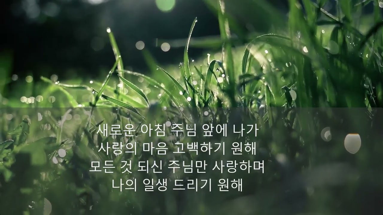 찬양노트 새찬송가 - 새로운 아침