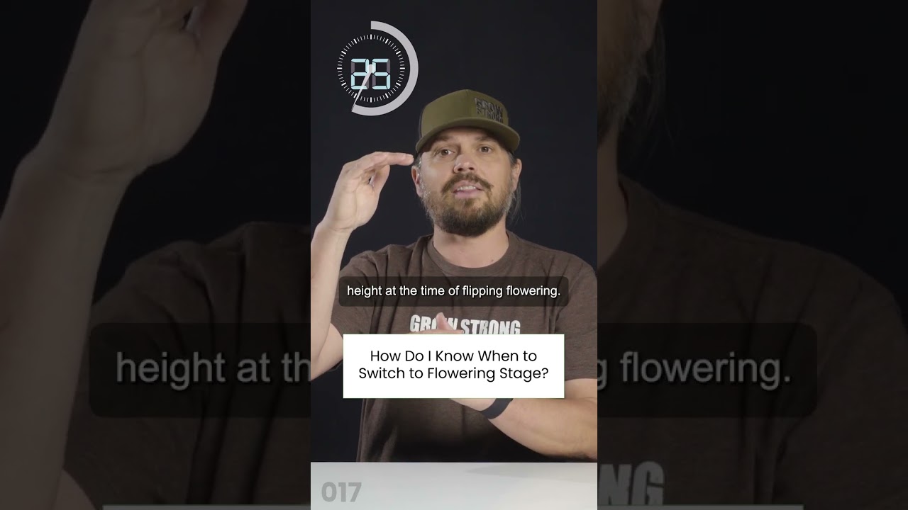 How to Know When to Switch to Flowering Stage - OMW #17
