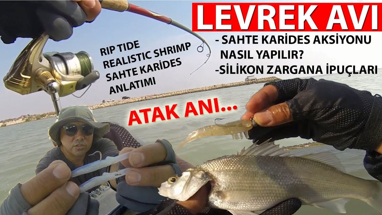 Levrek Avı... çok sevdim yalan oldu dev levrek ve Karides Aksiyonu Nasıl Yapılır?