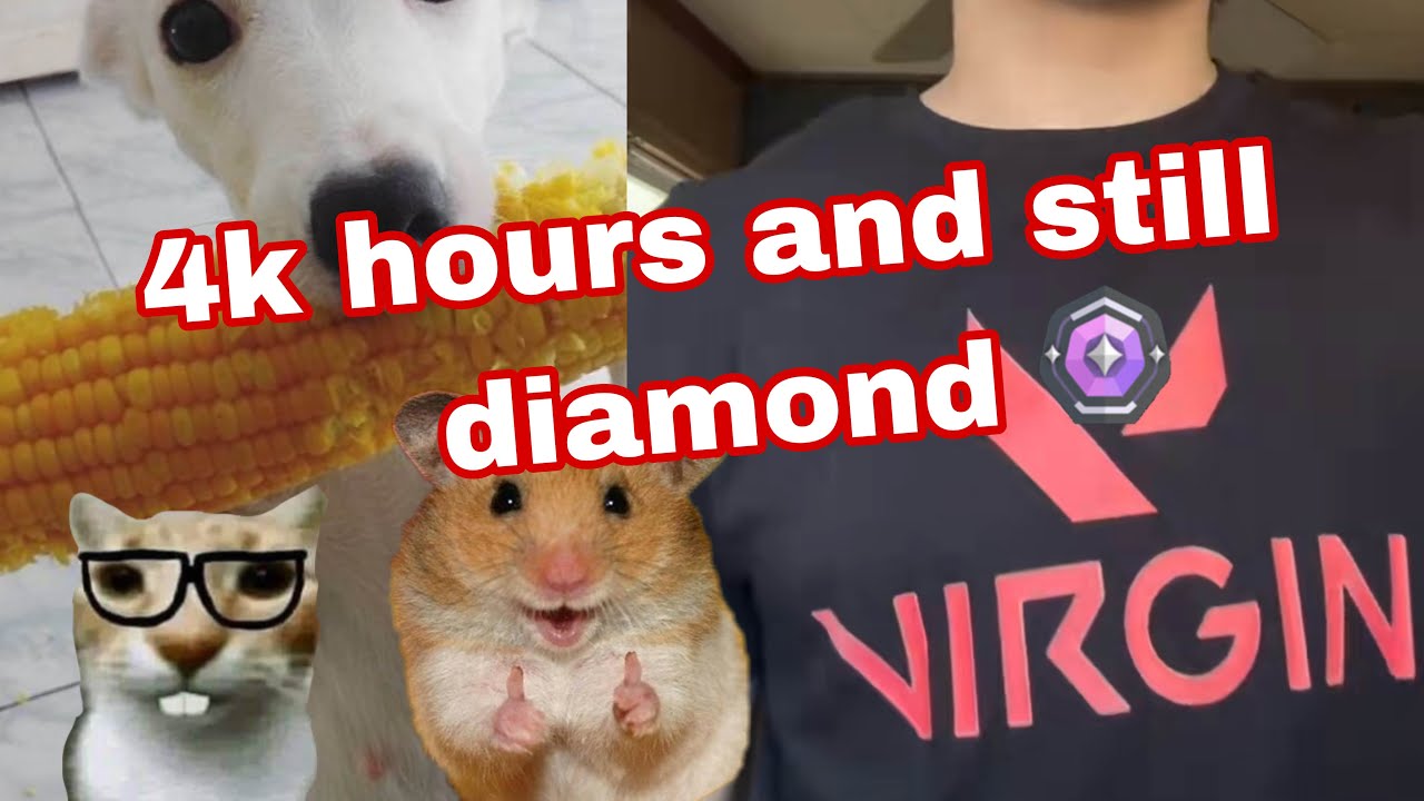 4,000 HOURS AND STILL DIAMOND