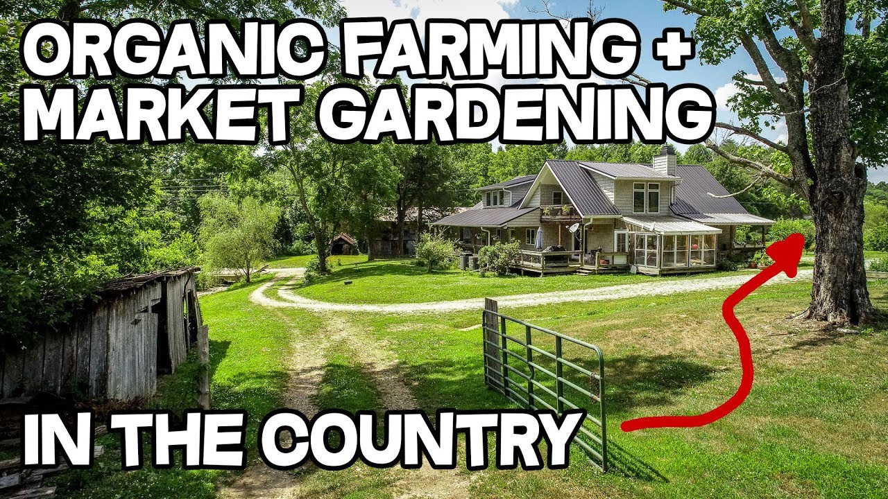 Growing Your Own Food: Mastering Sustainable Farming in Kentucky