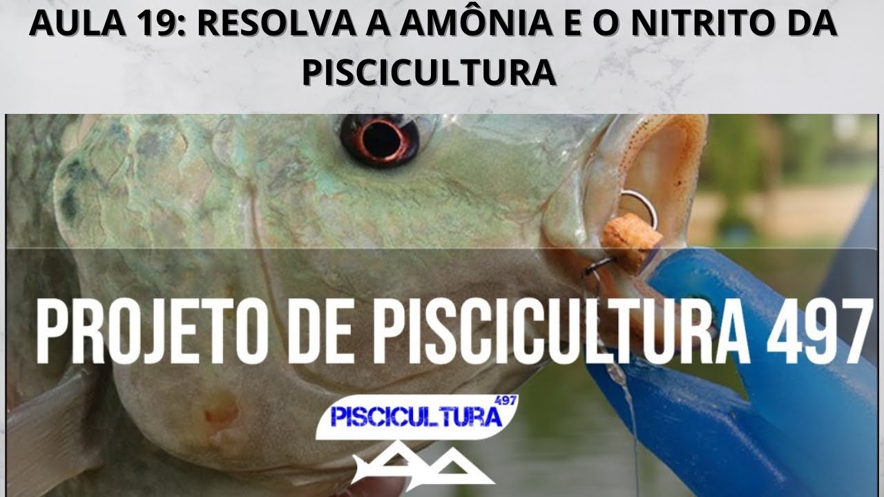 PISCICULTURA 497: AULA 19 - RESOLVA A AMÔNIA E O NITRITO DA PISCICULTURA