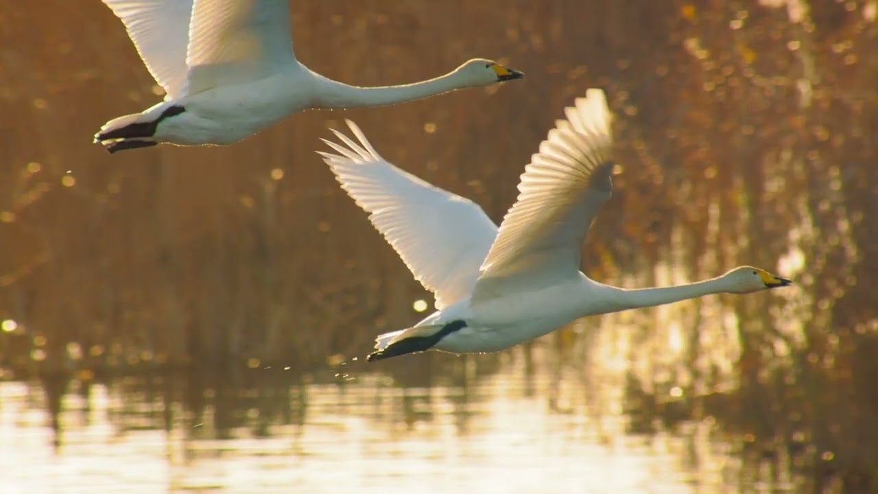 Doku HD Russland von Oben S01E01