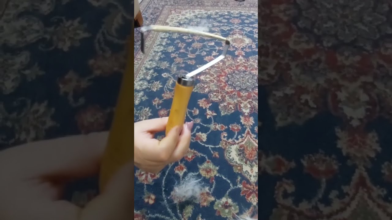 تنظيف السجاد من الشعر والوبر بأسهل وأسرع طريقة
