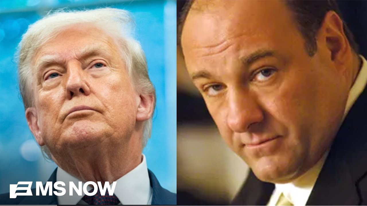 'Like the Sopranos': Trump's DEEPLY CONCERNING approach to foreign policy
