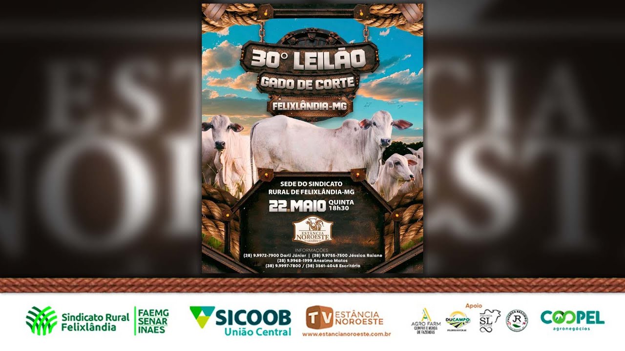 30º LEILÃO DE FELIXLÂNDIA - GADO DE CORTE