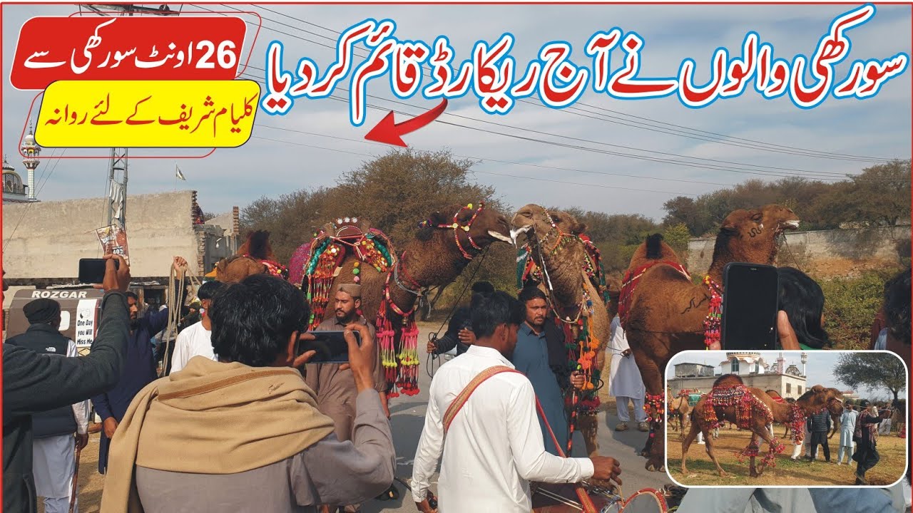 Kalyam sharif mela 2026 | Camel power Show at Shrakhi Dadyal Azad Kashmir | Surakhi to Kalyam sharif