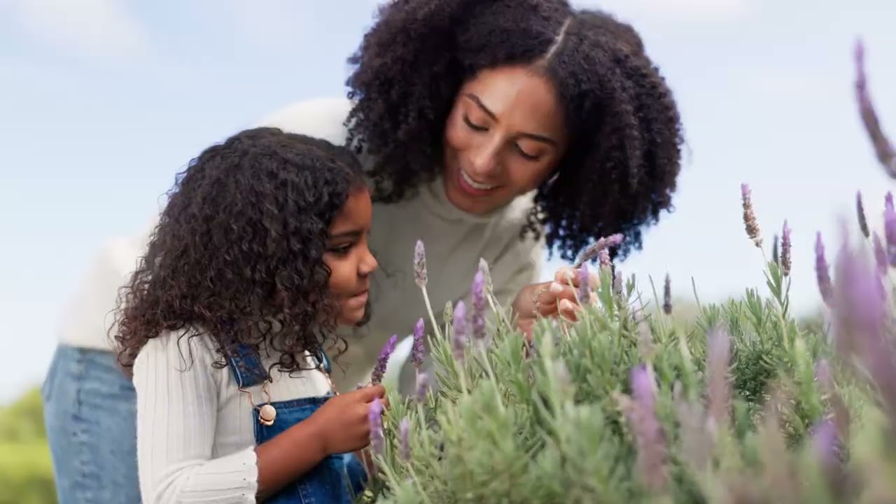 Egy elcseszett világ