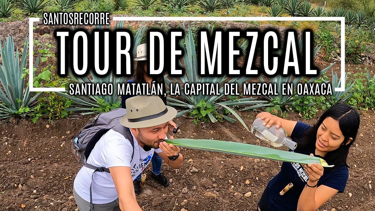 🥃 MATATLÁN, OAXACA. La capital del MEZCAL 🔵 TOUR de mezcal artesanal y SAN PABLO VILLA DE MITLA