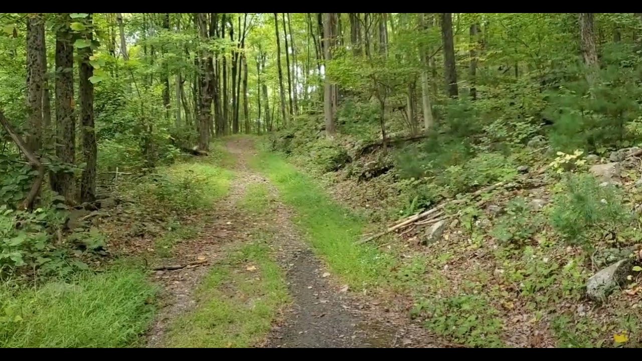 Haunted Downs Road? #haunted #hauntedstories #hauntedplace #hike #hiking #creepy #creepystories