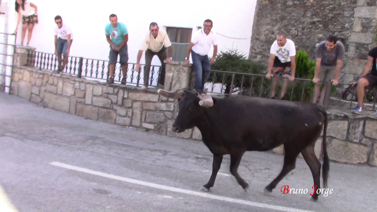 Largadas de Touros nos F&oacute;ios - 2016