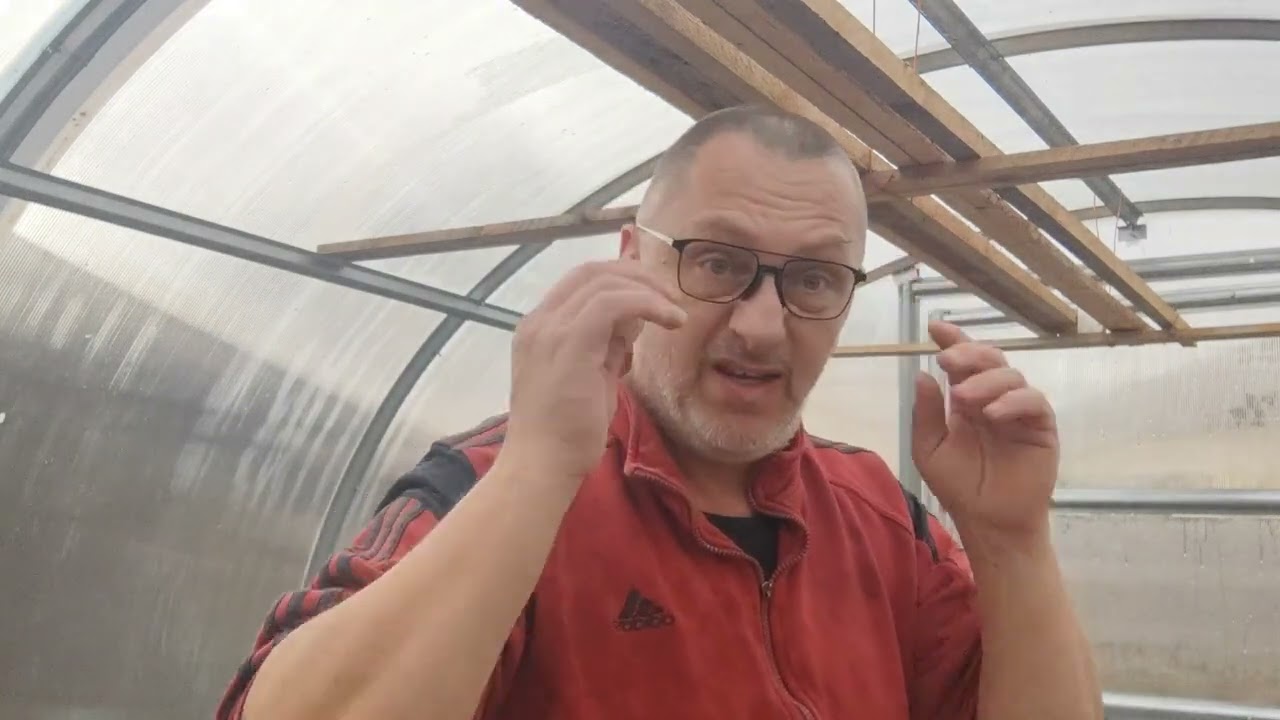 Gewächshaus schonend reinigen