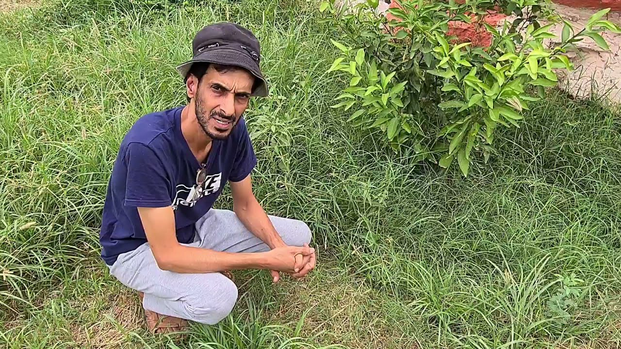 أداة إزالة الحشائش التجربة الأولى