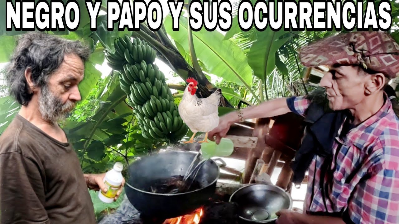 Las OCURRENCIAS de Don NEGRO cocinando para su  FAMILIA y todo lo que el HACE en su vida COTIDIANA.