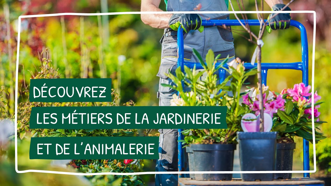 Les coulisses des métiers de la jardinerie et de l'animalerie avec @lesjardineriesetanimalerie