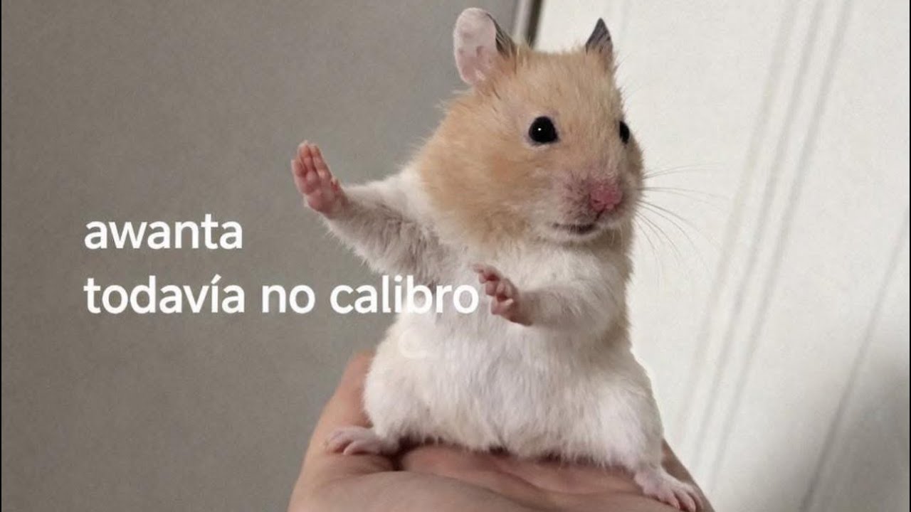 Querida Lara: Enero 2026 