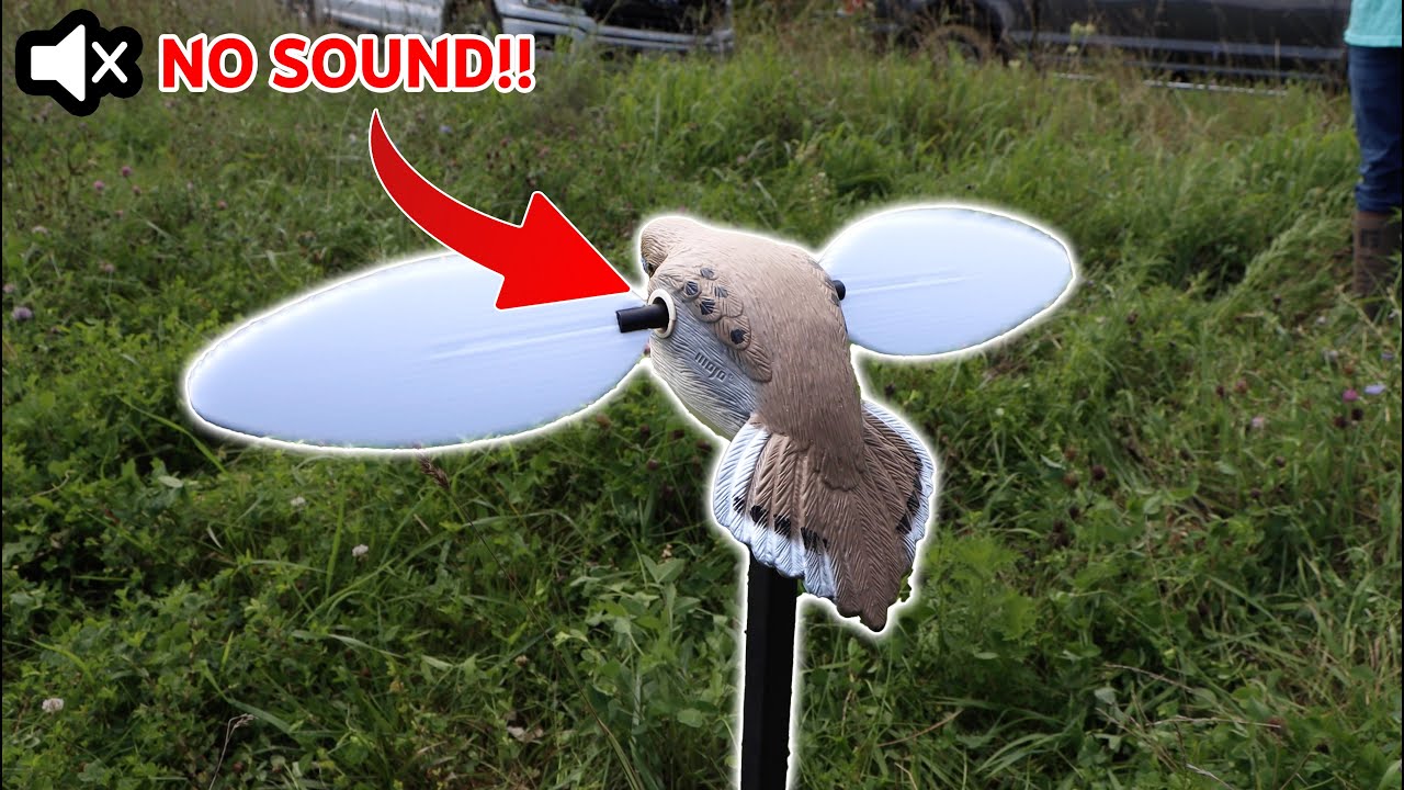 This NEW Mojo Dove is INSANELY QUIET! (Mojo Elite Series Dove Motion Decoy)