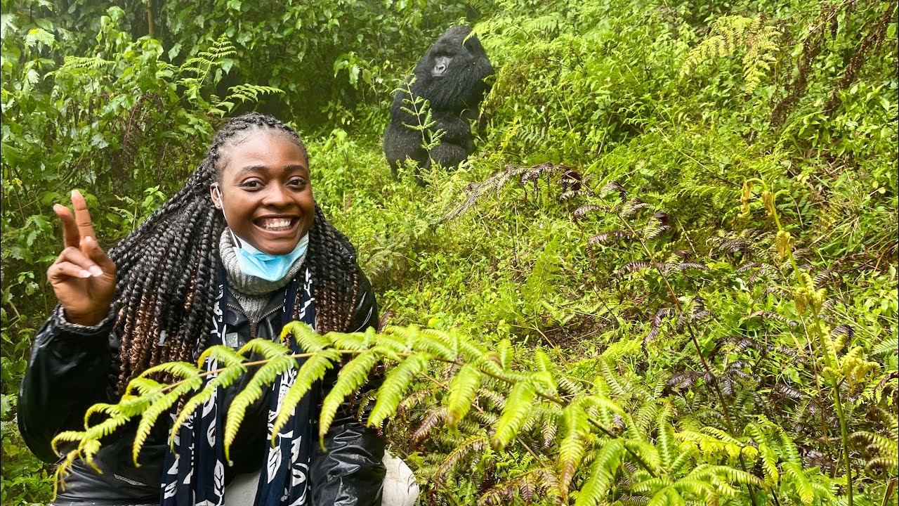 EXTRAORDINARY ENCOUNTER WITH MOUNTAIN GORILLAS IN RWANDA ||VOLCANOES NATIONAL PARK|| TRAVEL VLOG