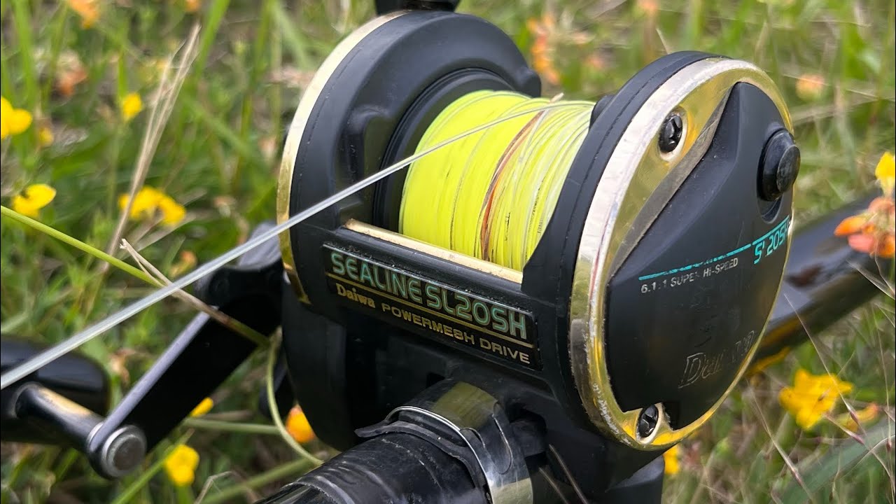 Daiwa Sealine sin frenos 240 metros #surfcasting #fishing #carpfishing #lance lance de péndulo.