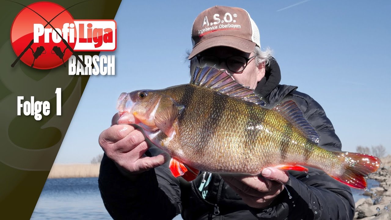 Alles auf BARSCH! Profi-Liga Barsch, Folge 1
