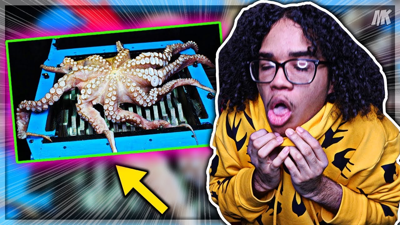 Insane Guy Puts Moving Octopus In Turbo Shredder (NEVER AGAIN)