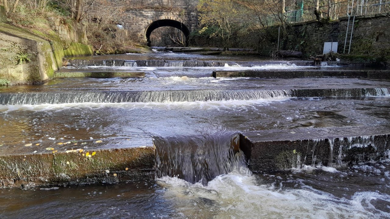 Thompson Park Fish Pass River Brun