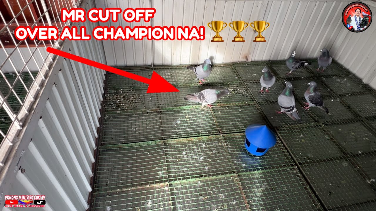 EP1225 JACKPOT OVER ALL CHAMPION SI MR CUT OFF SA BBC SHEEEES!
