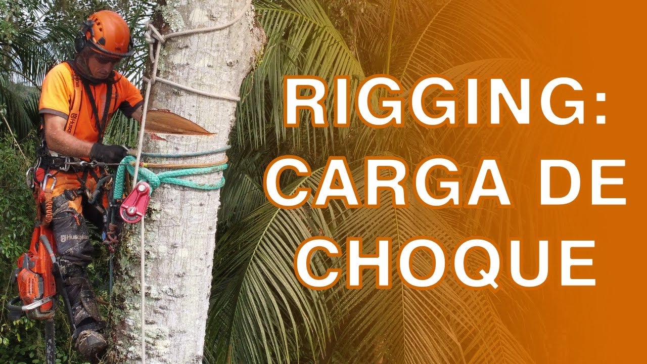 Rigging Básico: Carga de Choque