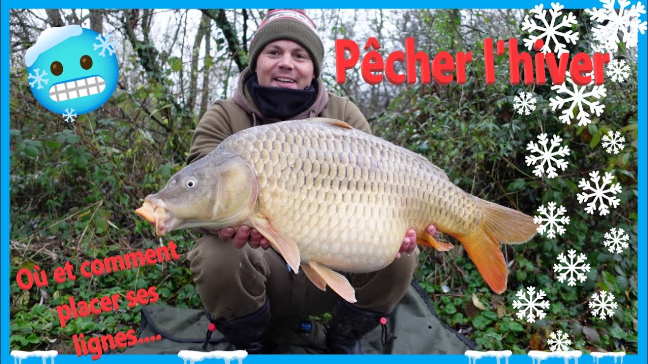 Bien aborder la pêche en hiver!!!*CARPE*