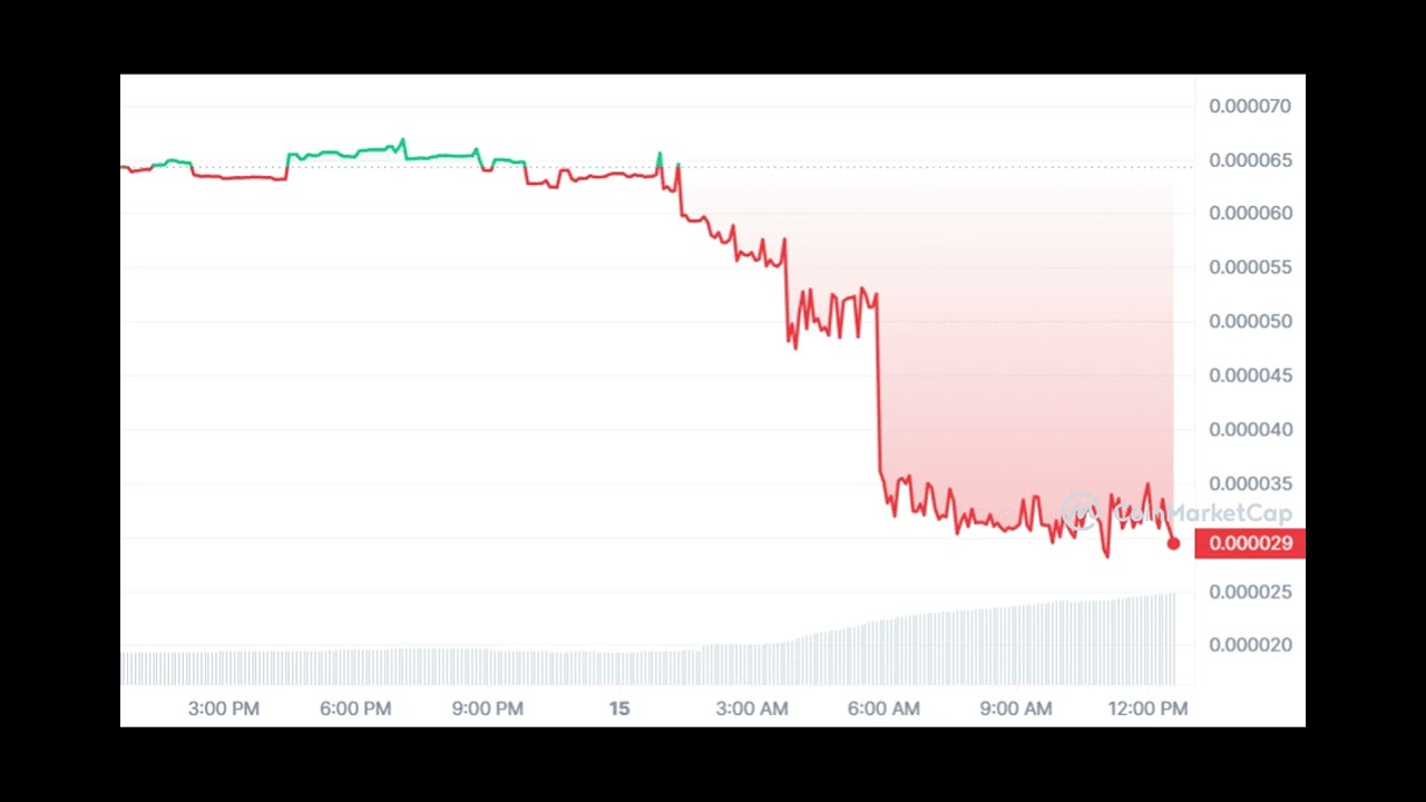 SafeMoon seeks Chapter 7 bankruptcy amid arrests and SEC allegations