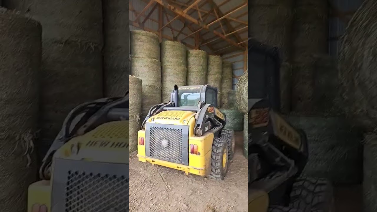 Filling The Piggy Bank! #familyfarm #farming #hayforsale