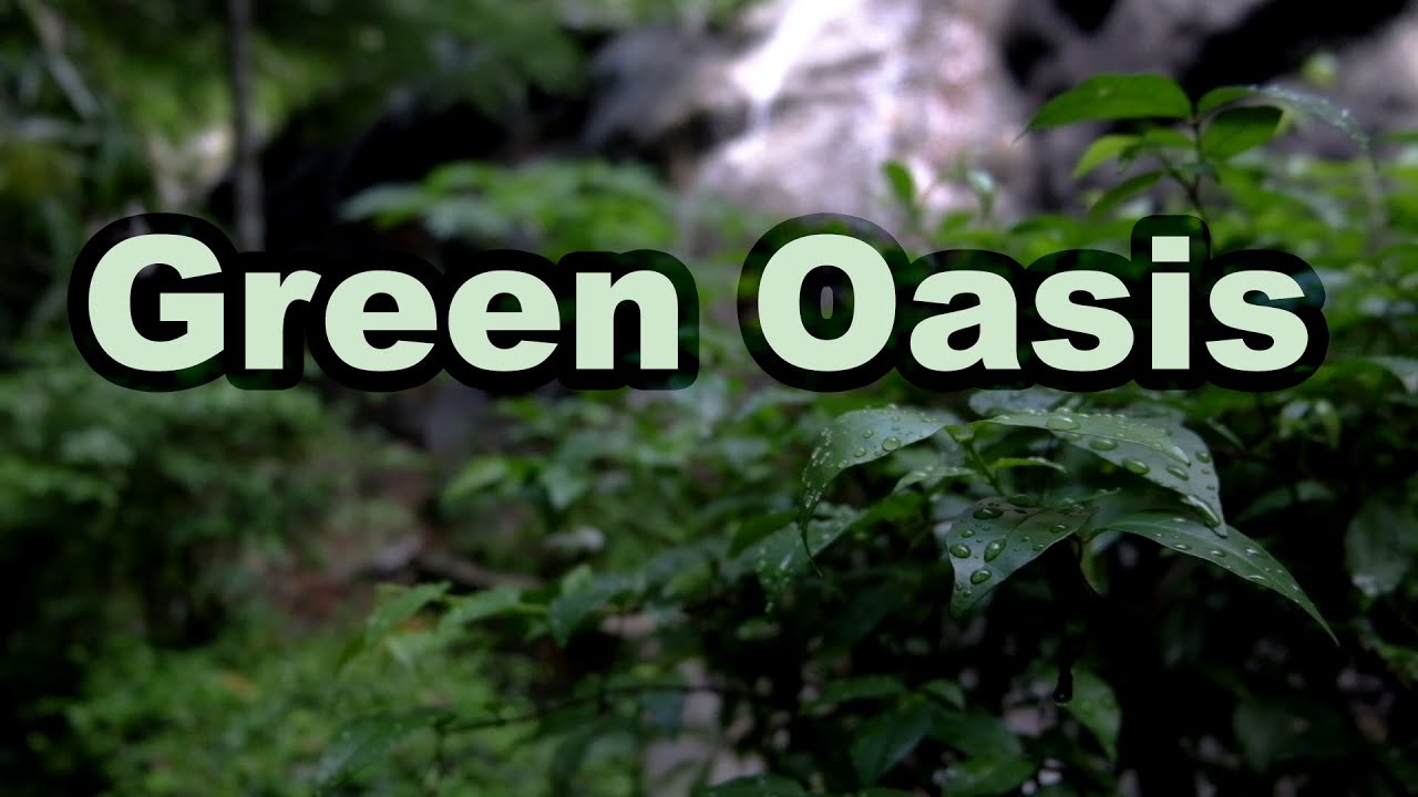 Ambient Violin Music For Meditation - Soundscape #20 - A green oasis with a waterfall  - 15 min