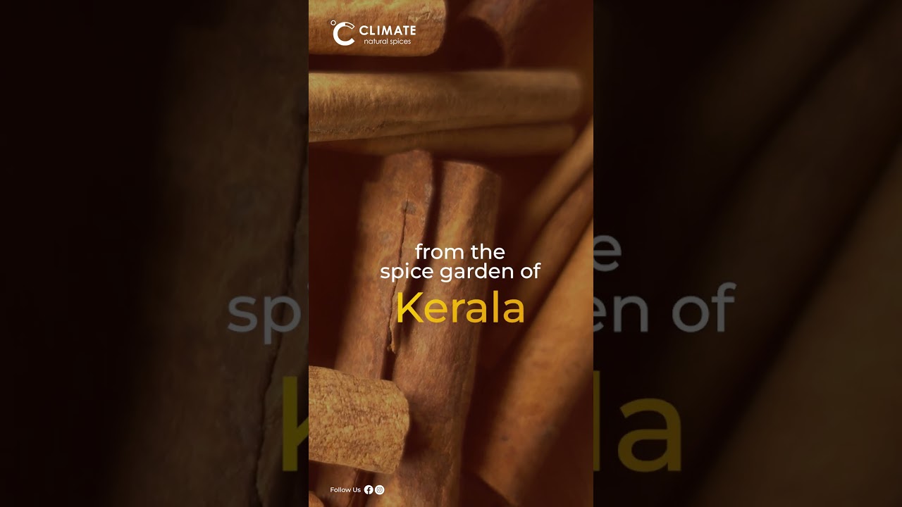 Premium Spices from Premium Seller