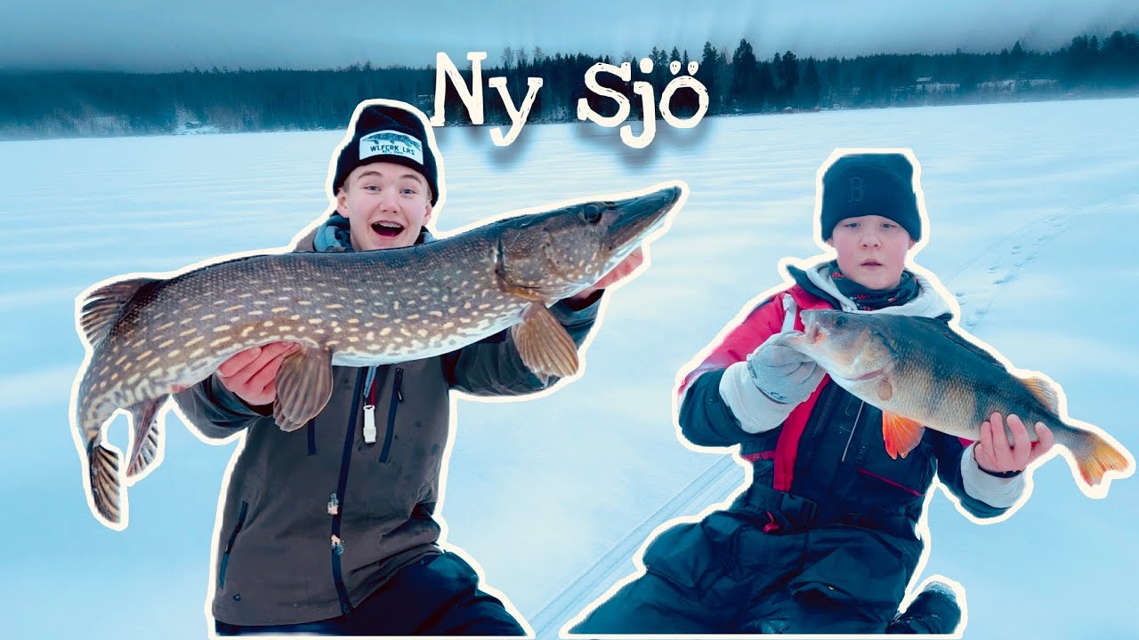 Ismete på ny sjö med stora fiskar(Fiskemagi)