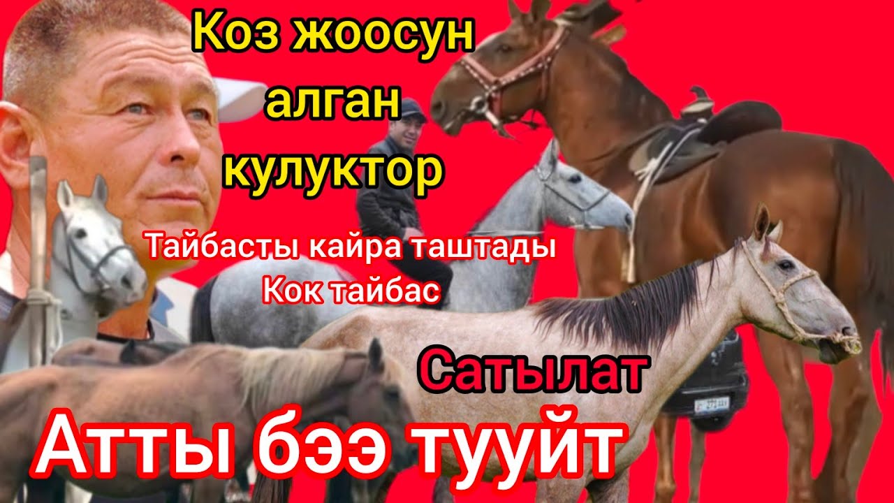 Сатылды