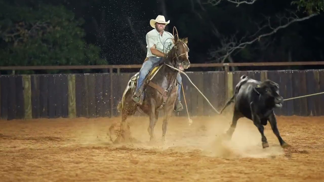 Dont Stop Savannah - Consigned to HorseBid.com