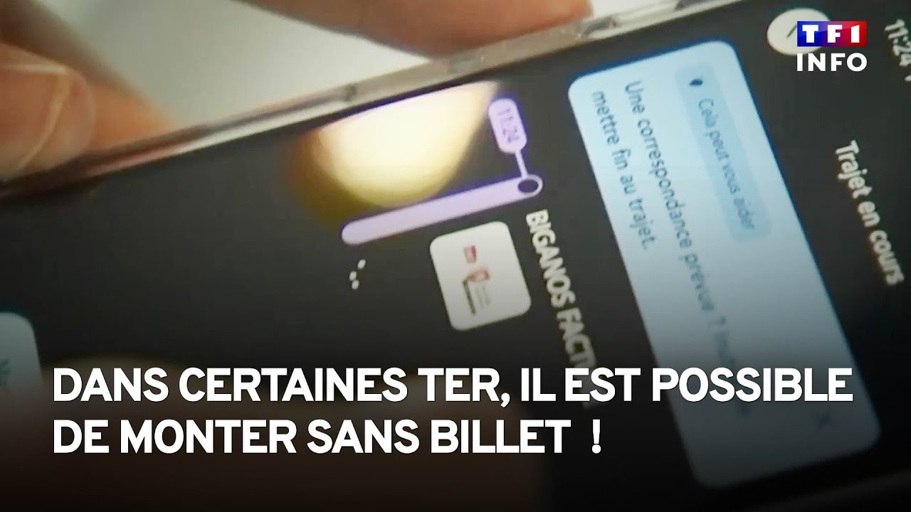 Dans certains TER, on peut monter sans billet !