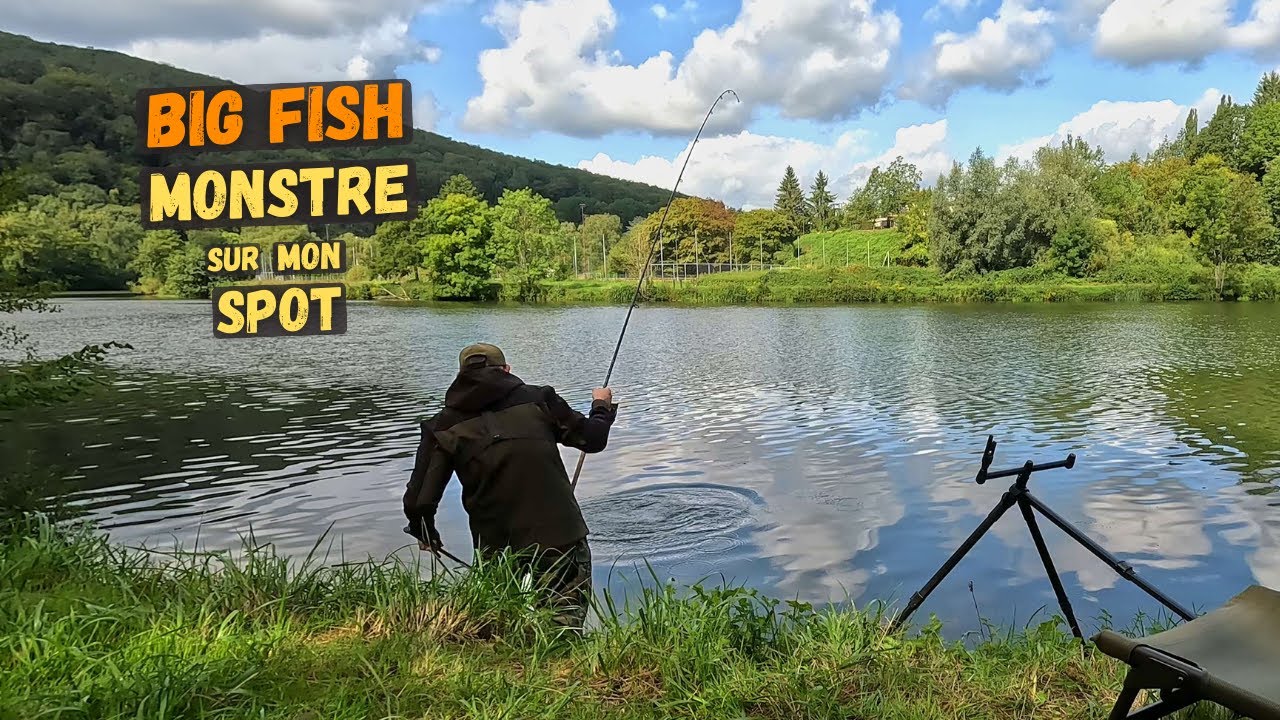 Un Big Fish énorme s'invite sur mon spot à barbeau !
